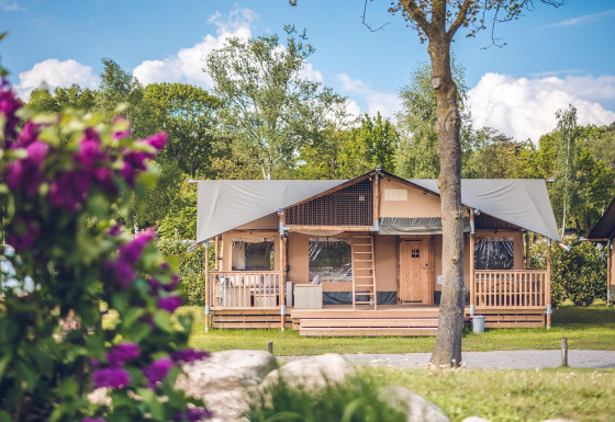 En safari-telt ved Holiday park Ackersate i Nederlandene omgivet af træer og blomster.