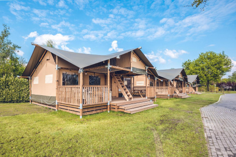 Safari tent 'Red Deer' at Holiday park Ackersate in the Netherlands, wooden deck and lush grass on a sunny day.