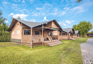 Tenda safari 'Red Deer' presso Holiday park Ackersate nei Paesi Bassi, veranda in legno, prato, giornata soleggiata.