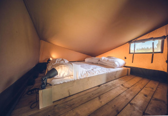 Intérieur de la tente Safari 'Red Deer' au parc de vacances Ackersate, Pays-Bas, avec lit confortable et plancher bois.