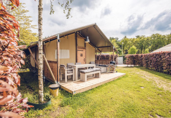 Safaritent 'Vos' in vakantiepark Ackersate in Nederland, met houten veranda en groene heg omheining.