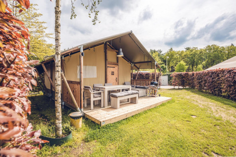 Safaritent 'Vos' in vakantiepark Ackersate in Nederland, met houten veranda en groene heg omheining.