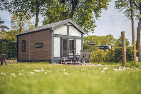 Charming tiny house at Holiday park Ackersate in the Netherlands, nestled in lush greenery with outdoor seating.