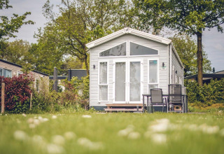Tiny house lodge at Holiday park Ackersate in the Netherlands, surrounded by a green lawn and trees.