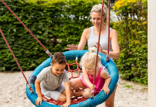 Een volwassene duwt twee kleine kinderen op een ronde schommel in het zand bij Wood Cottage, Holiday park De Witte Berg.