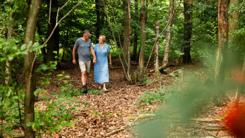 Pareja caminando entre los árboles cerca de su cabaña Wood Cottage en el parque De Witte Berg, Países Bajos.