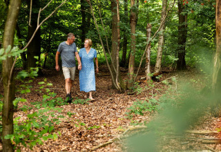 Pareja caminando entre los árboles cerca de su cabaña Wood Cottage en el parque De Witte Berg, Países Bajos.