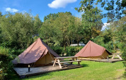 Dos tiendas Glamptent GT y mesas de picnic en Holiday Park BreeBronne, Países Bajos, rodeadas de árboles.