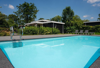 Piscina all'aperto vicino a una moderna sistemazione glamping con lettini e natura rigogliosa d'estate