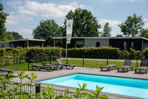 Moderne glampinghytter og udendørs swimmingpool med solsenge under en blå himmel, omgivet af natur.