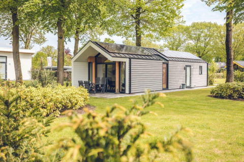 Lodge moderno llamado Ecovilla en Holiday park Ackersate, Países Bajos, rodeado de césped y vegetación.