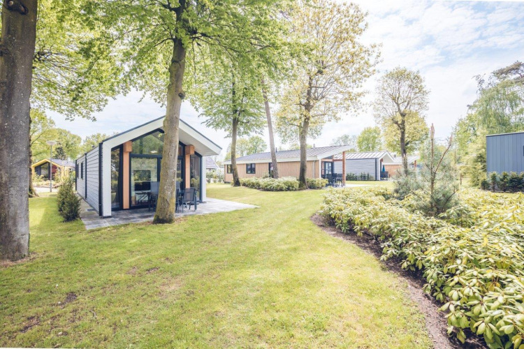 Ecovilla lodge at Holiday park Ackersate in the Netherlands, surrounded by lush green trees and lawns.