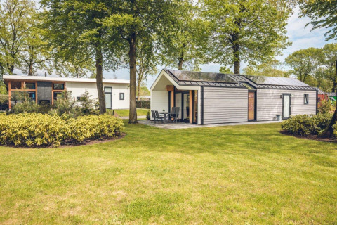 Lodges Ecovilla modernos en Holiday Park Ackersate, Países Bajos, entre árboles y césped verde.