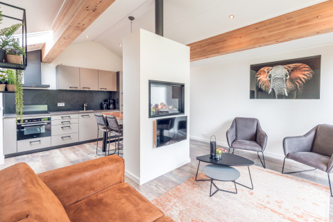 Modern lodge interior at Ecovilla, Holiday park Ackersate in the Netherlands, featuring kitchen and fireplace.