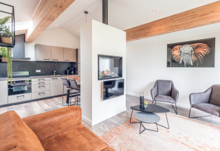 Modern interieur van een lodge in Ecovilla, Holiday park Ackersate, Nederland, met keuken en haard.