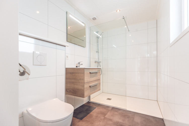 Modern bathroom in Ecovilla at Holiday park Ackersate, Netherlands, featuring walk-in shower and vanity.