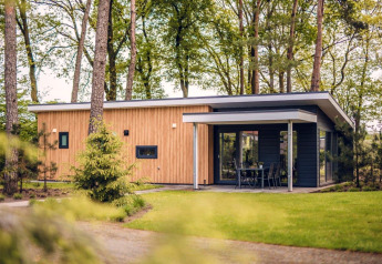 Villa forestière moderne au Holiday park Ackersate aux Pays-Bas, entourée de verdure et d’arbres, vue extérieure.