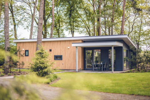 Villa forestal moderna en el Holiday Park Ackersate, Países Bajos, rodeada de vegetación y árboles. Vista exterior.