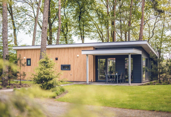 Villa forestière moderne au Holiday park Ackersate aux Pays-Bas, entourée de verdure et d’arbres, vue extérieure.