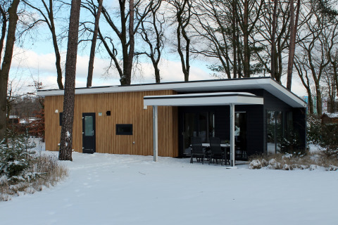 Moderna cabaña Forest Villa en un entorno nevado en Holiday park Ackersate, Países Bajos, junto a árboles altos.