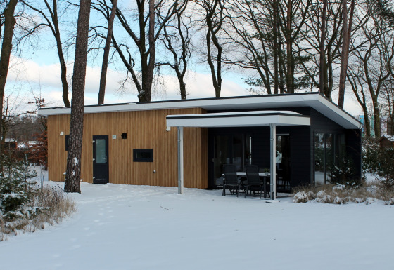 Modern Forest Villa lodge in snow at Holiday park Ackersate, Netherlands, surrounded by tall forest trees.
