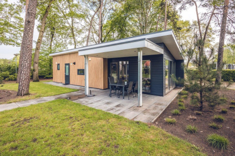 Modern Forest Villa lodge with covered terrace at Holiday park Ackersate, surrounded by trees in the Netherlands.