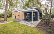 Modern Forest Villa lodge with covered terrace at Holiday park Ackersate, surrounded by trees in the Netherlands.