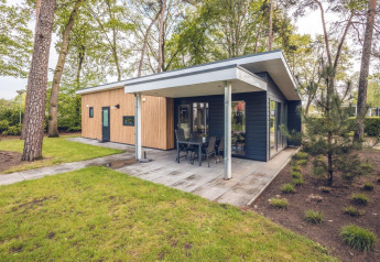 Modern Forest Villa lodge with covered terrace at Holiday park Ackersate, surrounded by trees in the Netherlands.
