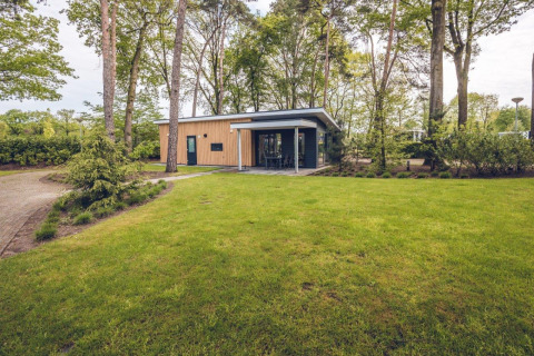 Forest Villa Lodge im Ferienpark Ackersate, Niederlande, umgeben von hohen Bäumen und Rasenfläche.