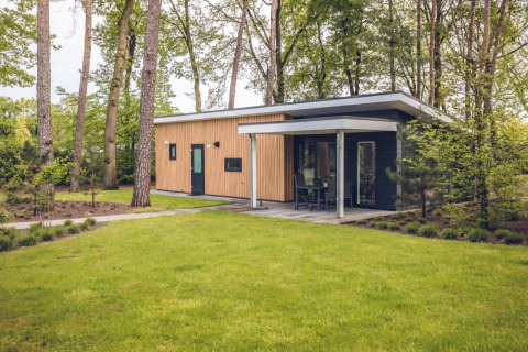 Moderne lodge Forest Villa hos Holiday park Ackersate, omgivet af grønt græs og træer i Holland.