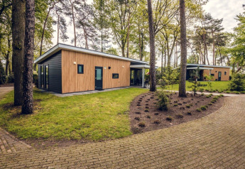 Moderne Waldvillen im Ferienpark Ackersate, Niederlande, umgeben von Bäumen und gepflegten Gärten.