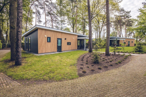Modernas villas en el bosque del Holiday park Ackersate, Países Bajos, rodeadas de árboles y césped.