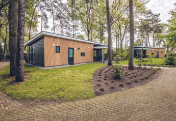 Moderne bosvilla’s op vakantiepark Ackersate, Nederland, omringd door groen, bomen en een verzorgde tuin.