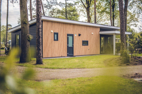 Moderna villa lodge con facciata in legno, situata tra alberi al Holiday park Ackersate nei Paesi Bassi.