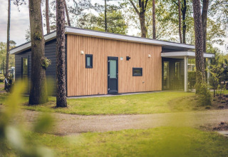Moderna villa lodge con facciata in legno, situata tra alberi al Holiday park Ackersate nei Paesi Bassi.