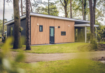 Lodge de villa moderna con fachada de madera en un bosque, en Holiday park Ackersate en los Países Bajos.