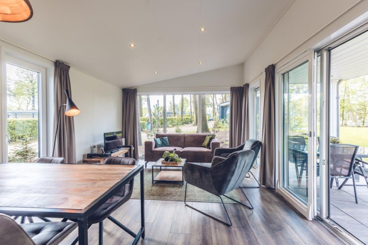 Luminoso salón en Forest Villa del Holiday park Ackersate, Países Bajos, con decoración moderna y vista al jardín.