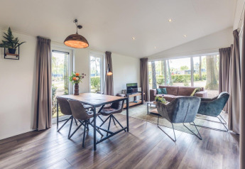 Lichte, moderne woonruimte in Forest Villa, Holiday park Ackersate, Nederland, met grote raampartijen.