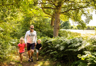 Een man wandelt met twee kinderen bij de safaritent Tentvilla in vakantiepark De Witte Berg, Nederland.