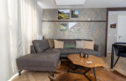Woonruimte in het Wulfenia-lodge aan Pressegger See, Oostenrijk, met grijze zetel en houten tafel.