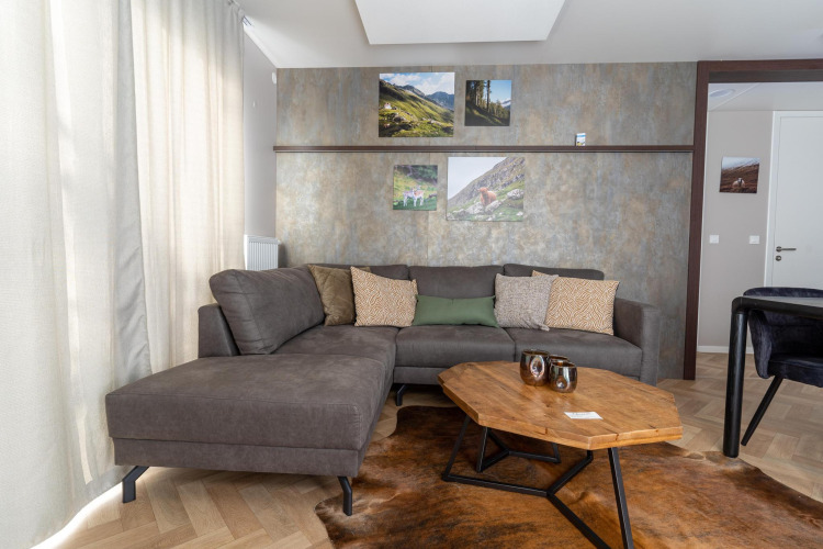 Woonkamer in de Wulfenia-lodge bij Pressegger See, Oostenrijk, met grijze bank en houten tafel.