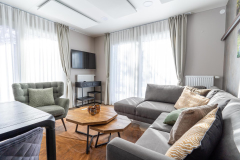 Moderne woonkamer in Wulfenia lodge bij Pressegger See, Oostenrijk, met bank, stoel en veel licht.