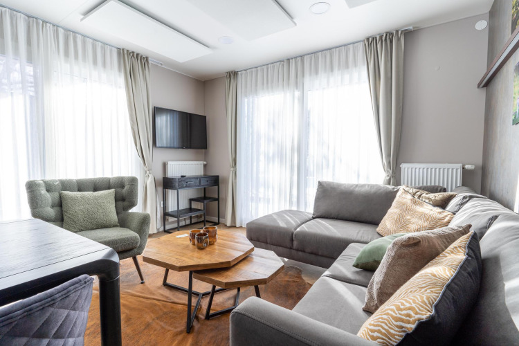 Moderne woonkamer in Wulfenia lodge bij Pressegger See, Oostenrijk, met bank, stoel en veel licht.