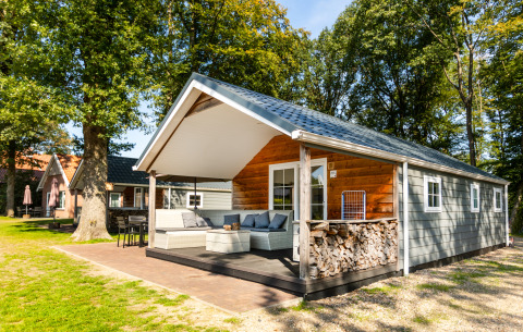 Vue extérieure de la Forest Lodge au parc de vacances De Witte Berg aux Pays-Bas, entourée d’arbres.