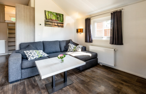Wohnzimmer im Forest Lodge, Holiday park De Witte Berg, Niederlande, mit grauem Sofa und Naturbild an der Wand.
