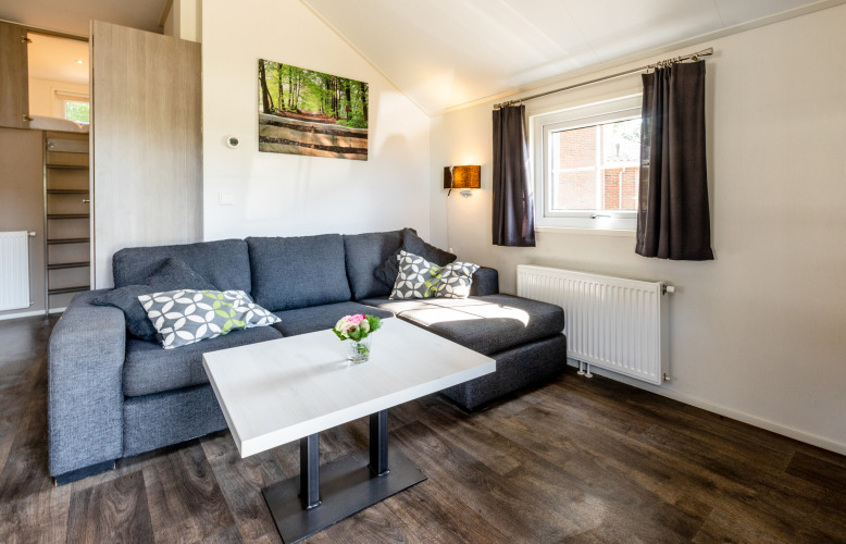 Moderne woonkamer in Forest Lodge bij Holiday park De Witte Berg, Nederland, met grijze bank en natuurdecor.