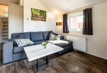 Moderne stue i Forest Lodge, Holiday park De Witte Berg, med grå sofa, vindue og naturbillede på væggen.