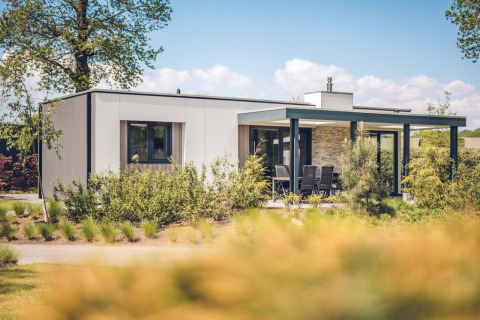 Villa vacacional moderna con sauna en Holiday Park Ackersate, Países Bajos, rodeada de naturaleza verde.