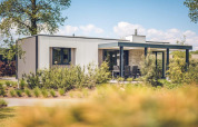 Villa vacacional moderna con sauna en Holiday Park Ackersate, Países Bajos, rodeada de naturaleza verde.