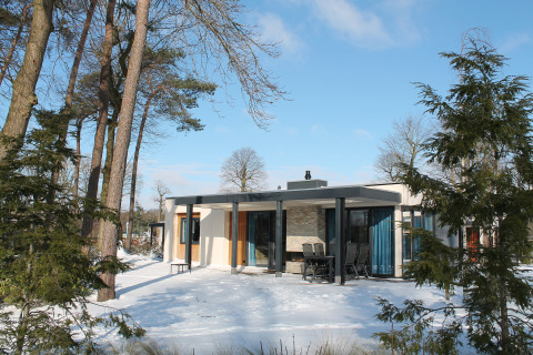 Moderne feriebolig med sauna i Holiday park Ackersate, Nederlandene, omgivet af sne og fyrretræer.